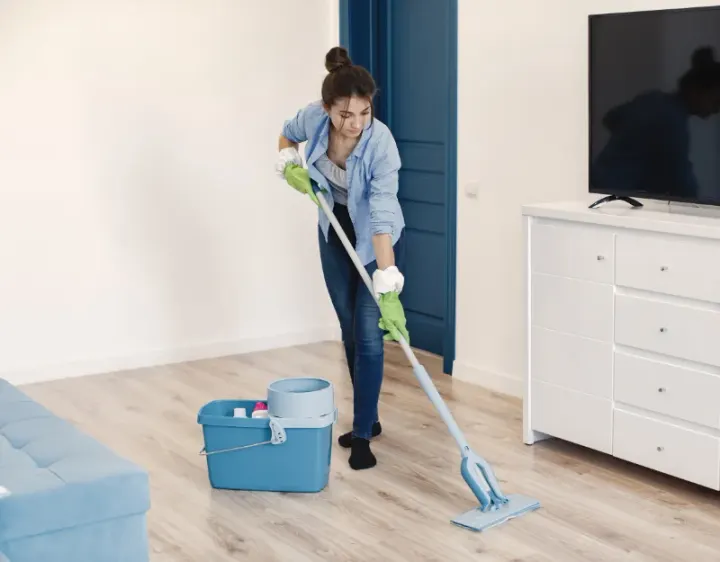 Femme de ménage Les Mollettes